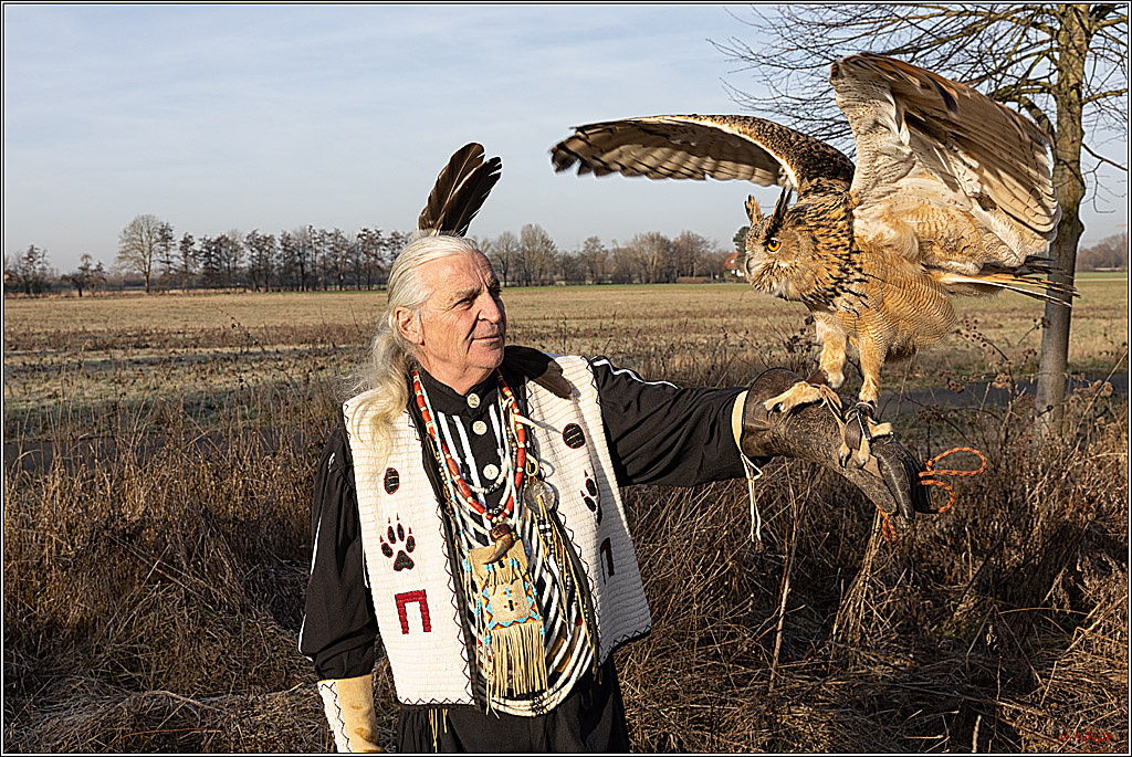 Cheyenne-Halbblut Hunting Wolf in der Falknerei Pierre Schmidt; Gymnich, 09.02.2023